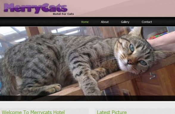 MerryCats Hotel For Cats