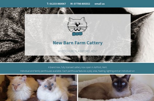 New Barn Farm Cattery