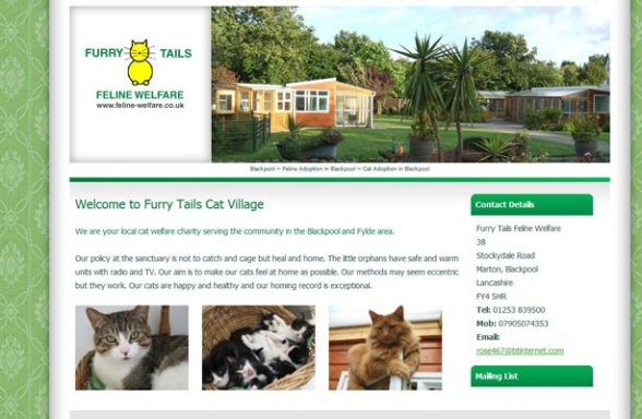 Furry Tails Feline Welfare - Blackpool