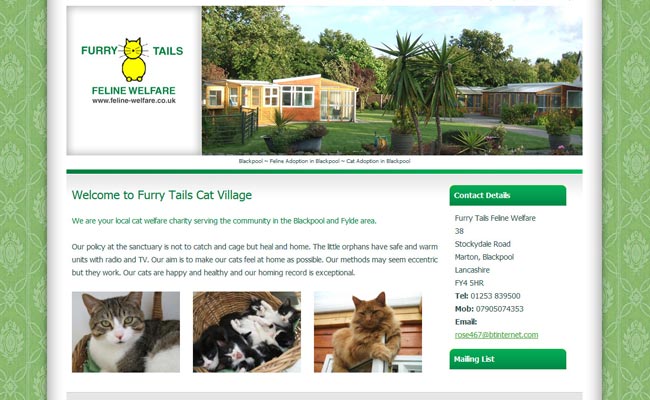 Furry Tails Feline Welfare - Blackpool