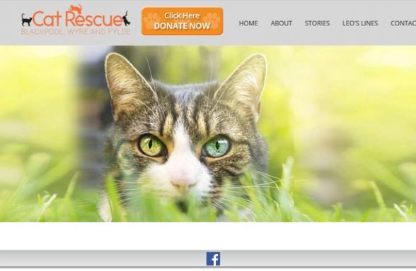 Cat Rescue Blackpool and Fylde - Lytham St. Annes