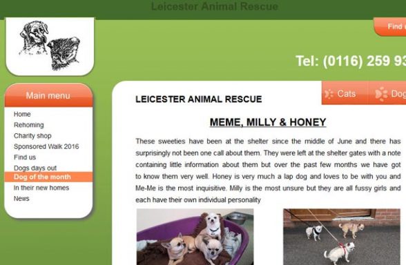Leicester Animal Rescue – Billesdon