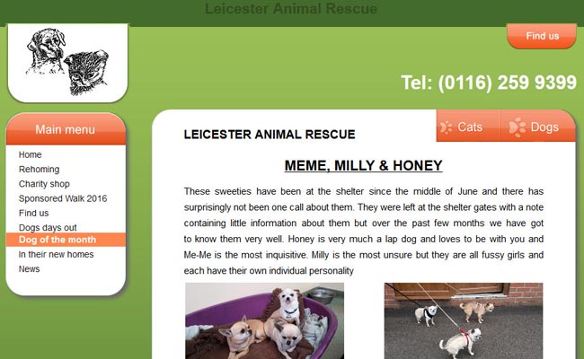 Leicester Animal Rescue – Billesdon