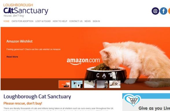 Loughborough Cat Sanctuary - Loughborough