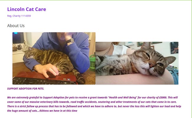 Lincoln Cat Care - Lincoln