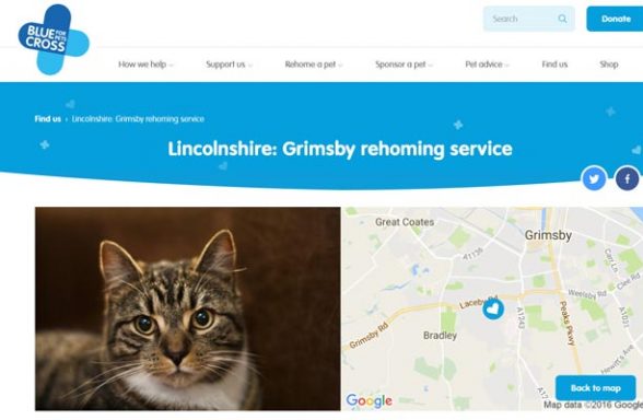 Blue Cross Rehoming Service - Grimsby