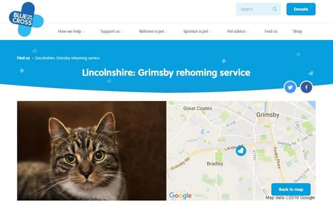 Blue Cross Rehoming Service - Grimsby