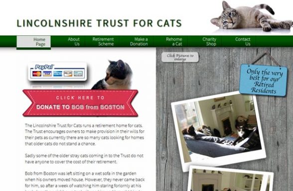 The Lincolnshire Trust for Cats - Market Rasen