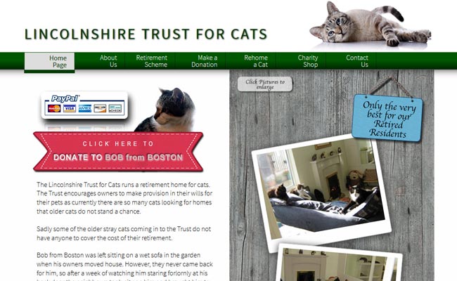 The Lincolnshire Trust for Cats - Market Rasen