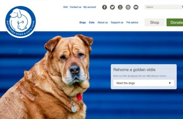 Battersea Dogs and Cats Home - Battersea