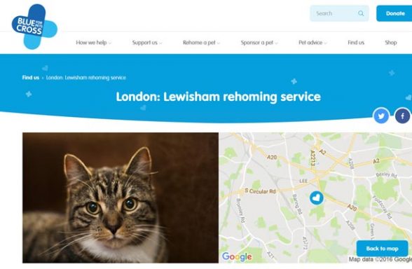 Blue Cross Rehoming Service - Mottingham