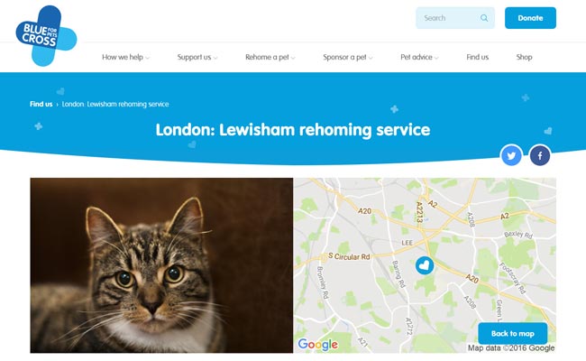 Blue Cross Rehoming Service - Mottingham