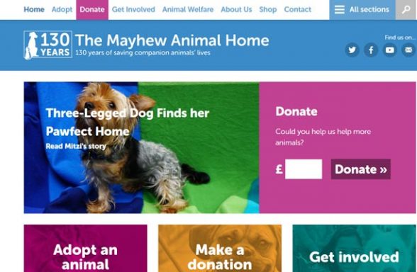 The Mayhew Animal Home - Kensal Green