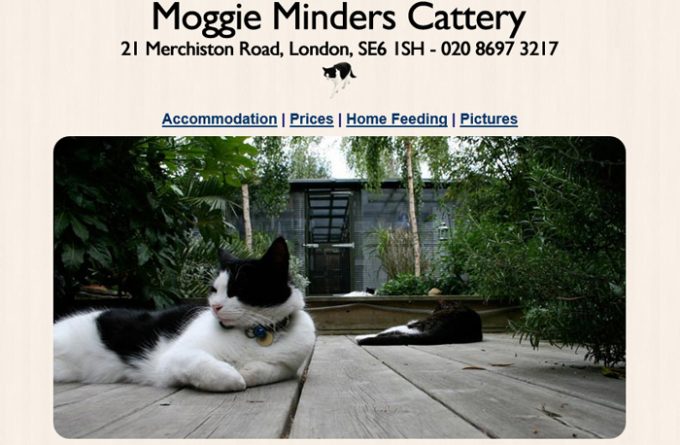 Moggie Minders Cattery