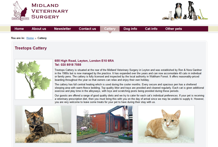 treetops dog boarding