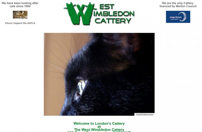 West Wimbledon Cattery