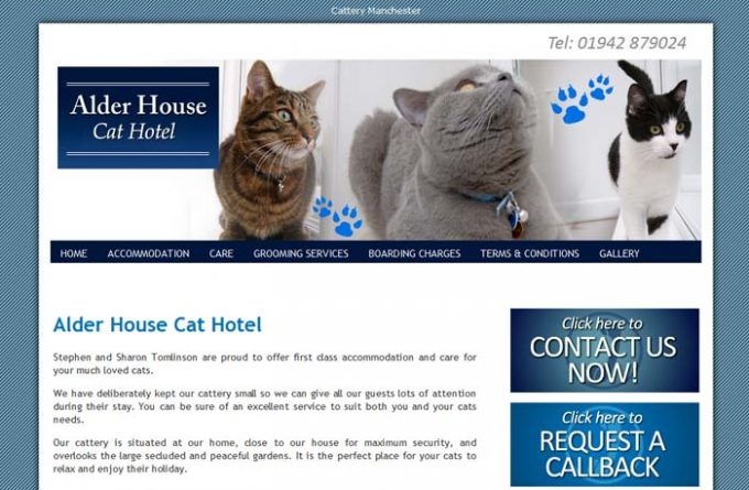 Alder House Cat Hotel