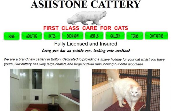 Ashstone Cattery