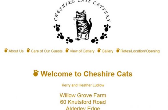 Cheshire Cats Cattery