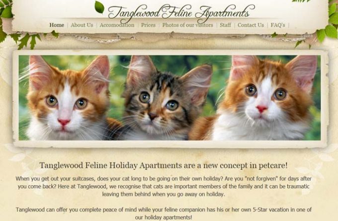 Tanglewood Feline Holiday Apartments