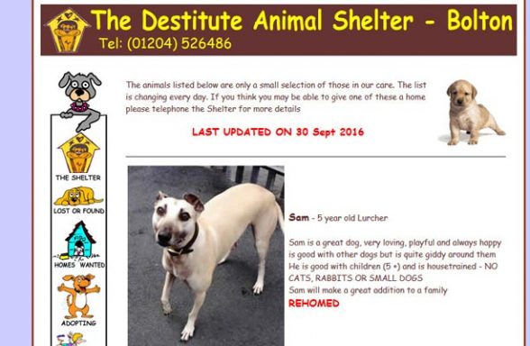 Destitute Animal Shelter - Bolton