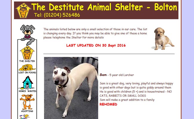 Destitute Animal Shelter - Bolton