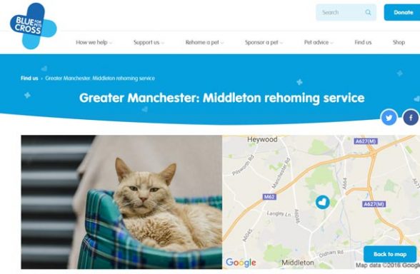 Blue Cross Rehoming Service - Middleton