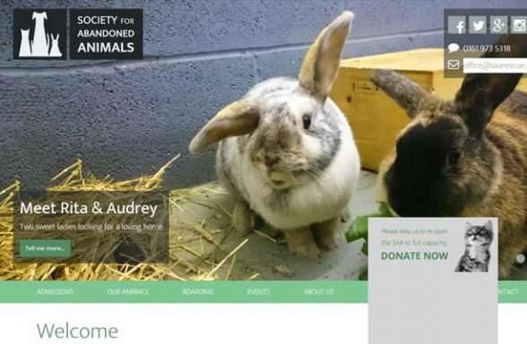 Local Cat Rescue Groups and Cat Welfare Organisations