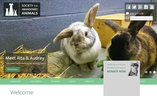 Society for Abandoned Animals - Manchester
