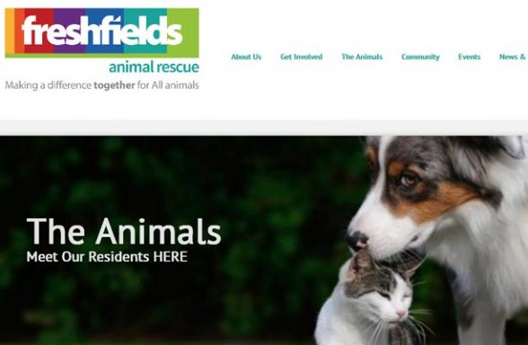 Freshfields Animal Rescue Centre - Liverpool