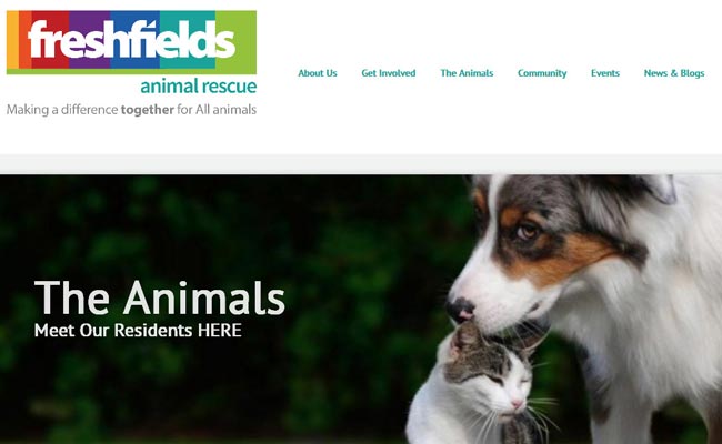Freshfields Animal Rescue Centre - Liverpool