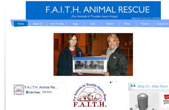 FAITH Animal Rescue - Norwich