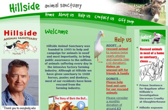 Hillside Animal Sanctuary - Norwich