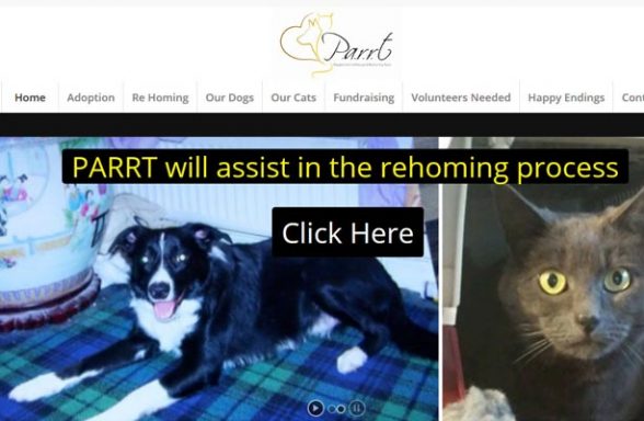 Peoples Animals Rescues - Morpeth