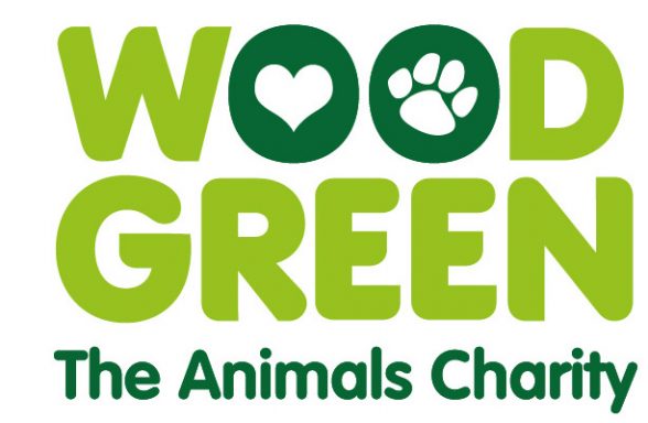 wood green animal charity