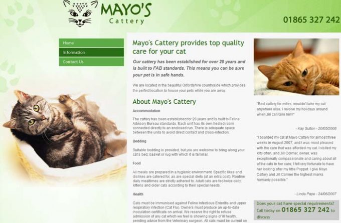 Mayo Cattery
