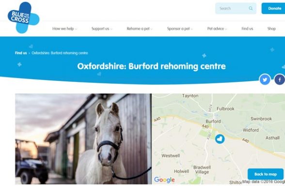 Blue Cross Rehoming Service - Burford