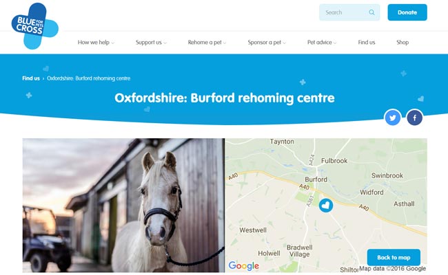 Blue Cross Rehoming Service - Burford