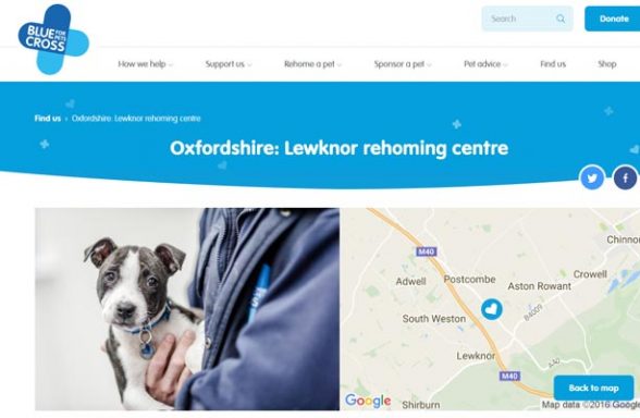 Blue Cross Rehoming Service - Lewknor