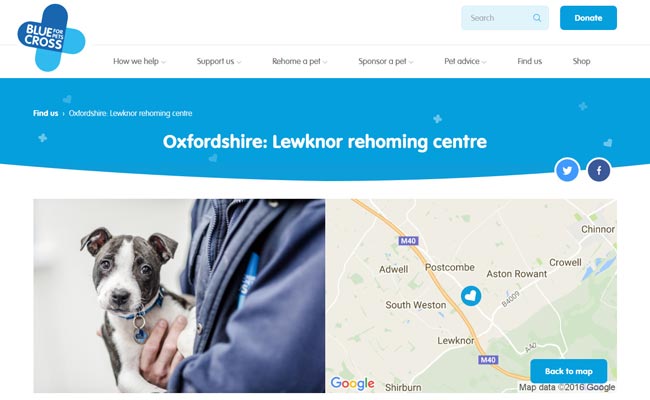 Blue Cross Rehoming Service - Lewknor