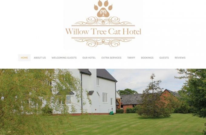 Willow Tree Cat Hotel