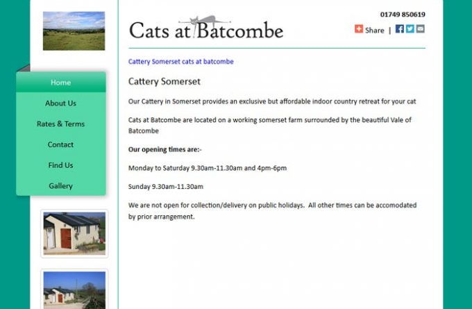 Cats at Batcombe