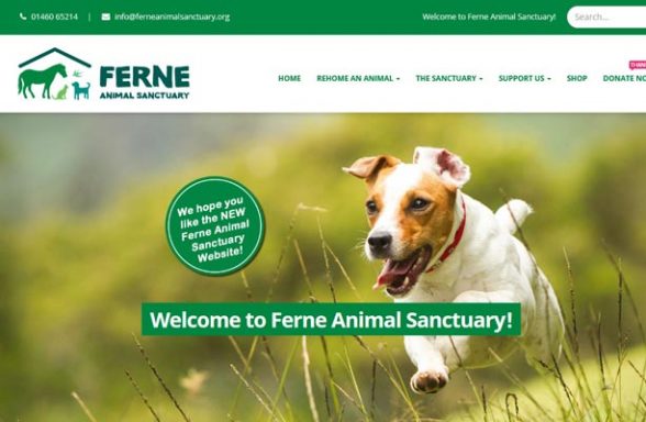 Ferne Animal Sanctuary - Chard