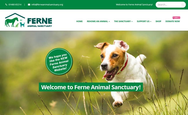 Ferne Animal Sanctuary - Chard