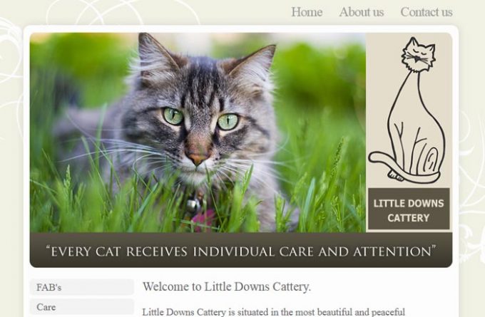 Little Downs Boarding Cattery