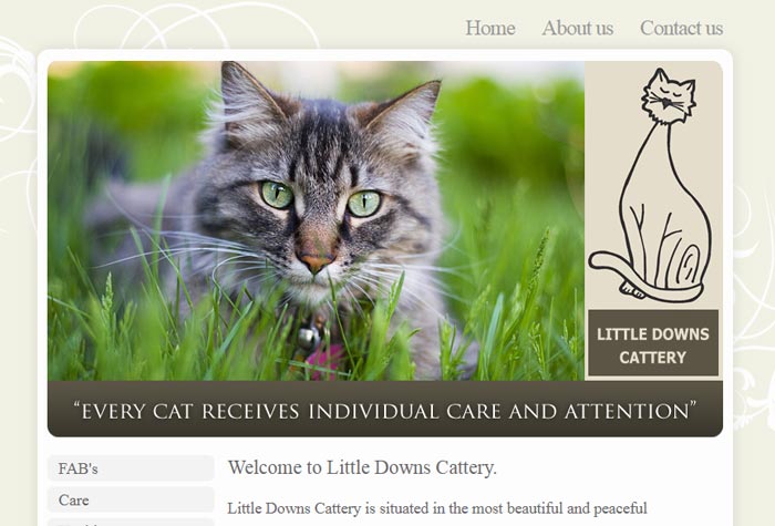 Little Downs Boarding Cattery