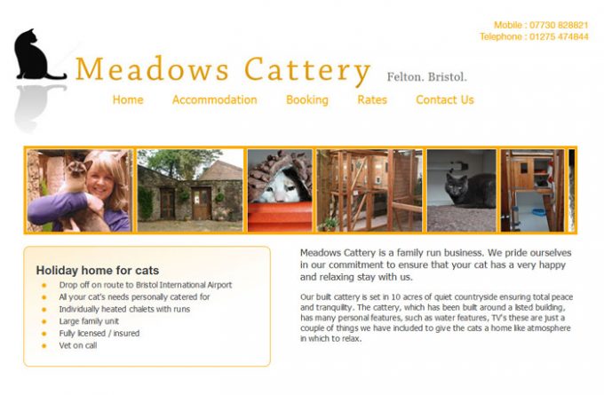 Meadows Cattery
