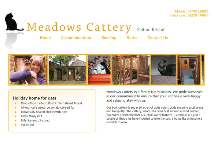 Meadows Cattery