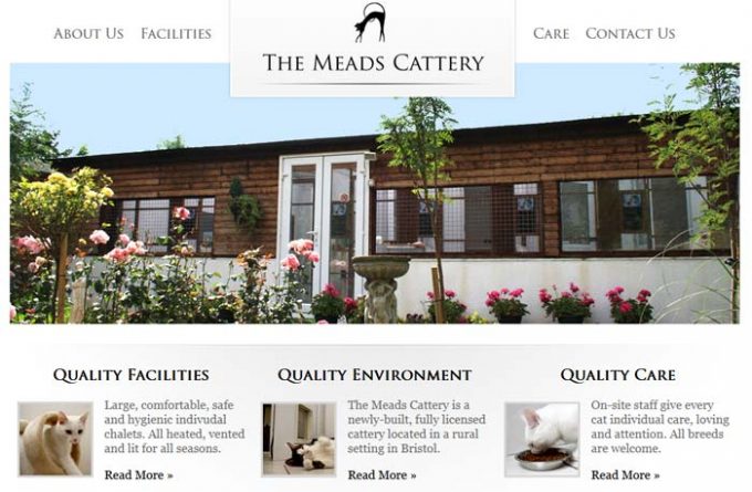 The Meads Cattery