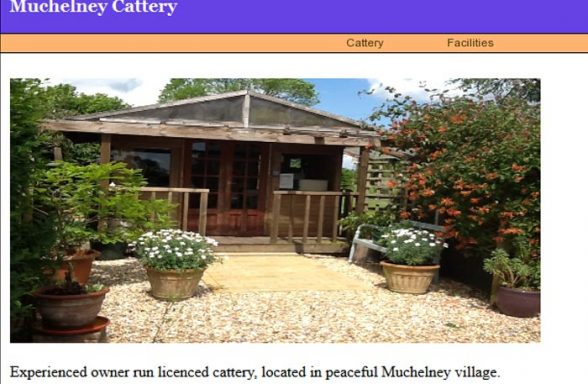 Muchelney Cattery